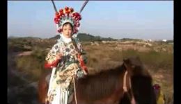 赣南采茶戏《三休攀梨花》上集mp4视频下载 经典戏曲资源在线获取