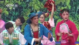 淮海戏《回娘家》经典选段在线观看，许亚玲徐建军精彩演绎，地方戏选段下载下载