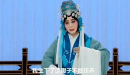 楚剧经典《王志贞入空门 庵堂认母》选段，李丽超深情演绎，高清戏曲资源下载下载