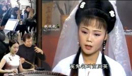 晚娘戏子