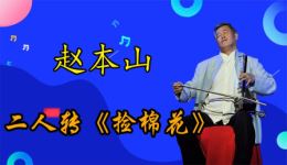 捡棉花