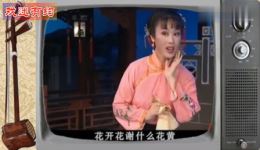 黄梅戏经典《夫妻观灯》在线观看与下载吴琼主演，感受传统戏曲魅力下载