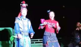 二人转《葡梅架下》孙大美易博联袂演绎，经典爱情桥段在线下载下载