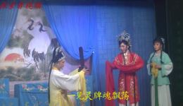扬剧《玉蜻蜓 请灵团圆》高清资源下载|张爱华主演扬州文广扬剧团经典剧目 扬剧《玉蜻蜓 请灵团圆》高清资源下载|张爱华主演扬州文广扬剧团经典剧目