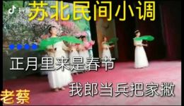 徐善云《思郎十二月》民间小调mp4视频下载,情深意切经典戏曲资源 徐善云《思郎十二月》民间小调mp4视频下载,情深意切经典戏曲资源