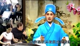 蜜蜂记