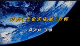 王金龙探监