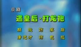 遇皇后 · 打龙袍