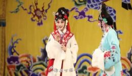 京剧《红娘》选段荀派再传弟子王梦婷精彩演绎，经典戏曲在线下载