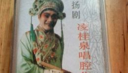 扬剧经典珍藏版凌桂泉唱腔集锦,精选多部名段,传承扬剧生角艺术精髓 扬剧经典珍藏版凌桂泉唱腔集锦,精选多部名段,传承扬剧生角艺术精髓