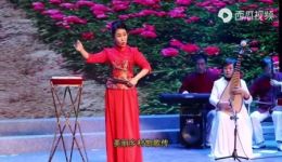 上党鼓书《牡丹恋》高清戏曲视频mp4下载，刘引红主演经典剧目资源