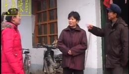 儿子的婚事