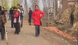 儿子的婚事