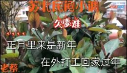 民间小调《欠债难》戏曲视频mp4下载-免费民间小调全剧资源百度网盘打包 民间小调《欠债难》戏曲视频mp4下载-免费民间小调全剧资源百度网盘打包