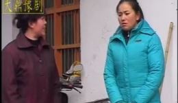 儿子的婚事