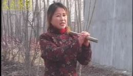 儿子的婚事