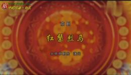 京剧《红鬃烈马》全剧在线观看，迟小秋等名家主演经典传统大戏下载