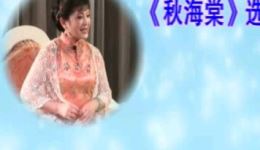 沪剧《秋海棠》高清下载｜吴小梅李建华经典演绎，民国悲剧爱情故事全场呈现下载