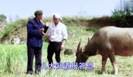 云南山歌剧《感动人生》第二部MP4视频下载，完整剧集资源一键获取