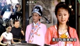 墙外小桃花