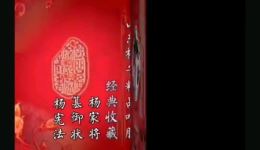 山东梆子《杨家将篡御状》选段 杨宪法演唱戏曲视频mp4下载 泰安市山东梆子剧团经典下载