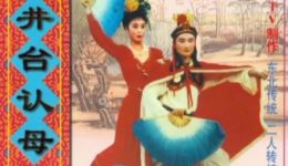 二人转《井台认母》单桂清赵晓波演唱视频mp4下载 - 正版戏曲资源下载
