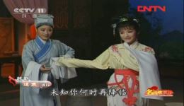 越剧《追鱼》选段月下初会下载，王志萍郑国凤经典演唱，高清戏曲资源速取下载