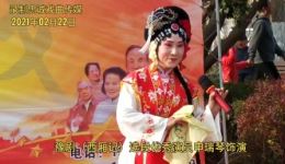 豫剧《西厢记》选段在线下载 申瑞琴精彩演绎 经典戏曲资源一键获取下载