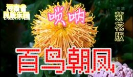 百鸟朝凤
