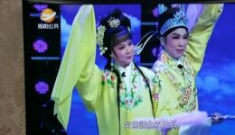 春风践约到园林