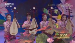 苏州评弹《绽放》苏州大学美女大学生演唱，优美动听，沉浸式体验传统曲艺魅力下载