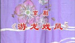京剧《游龙戏凤》片段下载，李维康耿其昌主演经典唱段在线观看下载