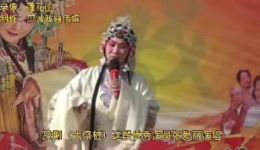 豫剧《大祭桩》选段在线下载，张爱丽经典演唱，传统戏曲资源速取下载