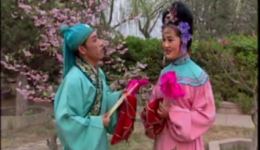 二人转《崔莺莺观花》王丽珠陈小伍演唱戏曲视频mp4下载 - 东北二人转正戏资源