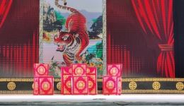 临汾市蒲剧团《对花枪》下集高清下载｜经典蒲剧全场资源，乔玲玲精彩演绎下载