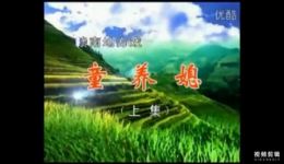 赣南采茶戏《童养媳》上集高清mp4视频下载，经典戏曲资源速取