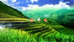 赣南采茶戏《童养媳》中集mp4视频下载，经典戏曲资源免费获取