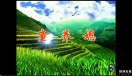 赣南采茶戏《童养媳》下集大结局下载 - 正版戏曲资源在线观看