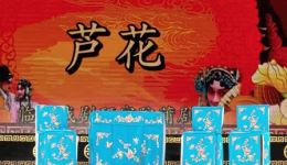 蒲剧《芦花》全剧高清下载 武晓勇领衔主演 经典孝道题材戏曲资源