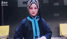豫剧《秦香莲》选段雷艳华经典演绎，传统戏曲视听盛宴在线下载