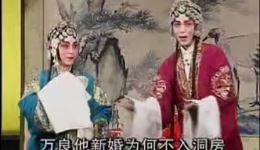 楚剧《两亲家吵驾》上集在线观看，陈依清王秋萍主演，精彩家庭戏曲不容错过下载