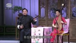 苏州评弹《啼笑因缘》选段寻凤徐惠新陈琰名家演绎,经典江南韵味在线畅听 苏州评弹《啼笑因缘》选段寻凤徐惠新陈琰名家演绎,经典江南韵味在线畅听