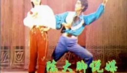 二人转正戏《陈大脚说媒》曹晓辉杨宏伟演唱视频mp4下载，东北二人转经典剧目资源