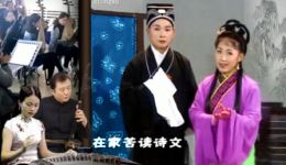 黄梅戏《赵霸抢亲》高清资源下载,经典戏曲选段在线观看 黄梅戏《赵霸抢亲》高清资源下载,经典戏曲选段在线观看