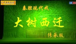 大树西迁