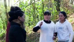 云南山歌剧《恩情重如山》第4部全集下载-正版高清资源在线获取