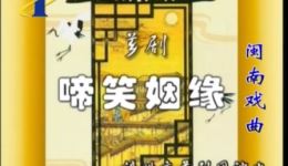 经典芗剧《啼笑姻缘》下集下载 - 漳州市芗剧团精品剧目资源下载