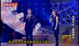 黄梅戏《风尘女画家》白燕升马兰深情演绎，经典剧目在线下载下载