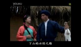 赣南采茶戏沙家浜 智斗刁胡第3集