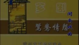 鸳鸯情缘